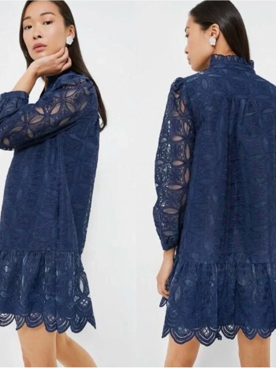 Tuckernuck Dresses & Skirts - Tuckernuck Navy Organza Lace Formal Palmerston Long Sleeve Mini Dress